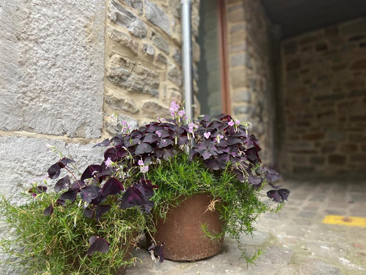 Ferienwohnung Fenetre Sur Theux Exterior foto